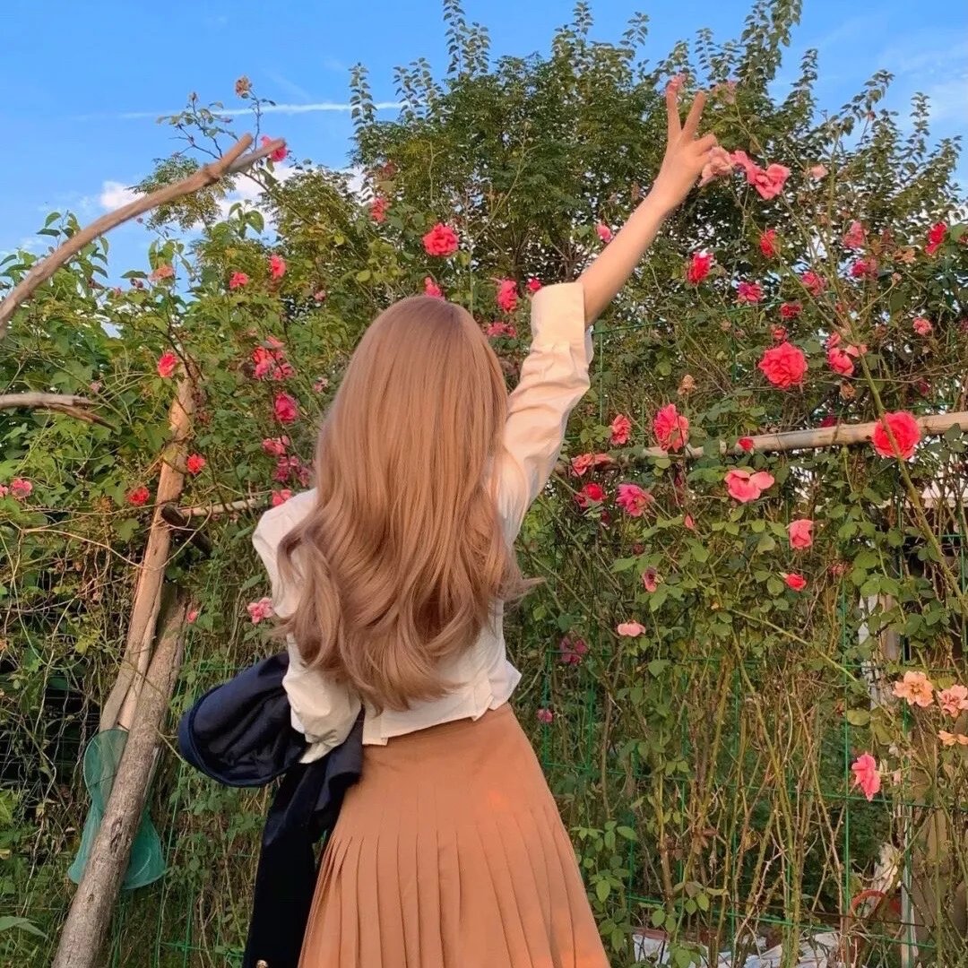 弗兰肯斯坦和吸血鬼:月黑风高夜