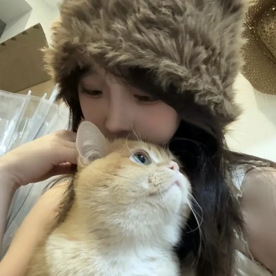 宝莉·莫瑞的一生海报